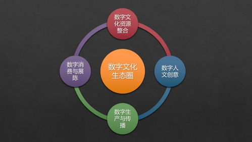 張曉明 跨越新文創(chuàng)時代專業(yè)鴻溝，構(gòu)建數(shù)字文化生態(tài)圈
